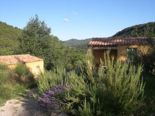 Domaine de bois joli - Buis-les-Baronnies - 5