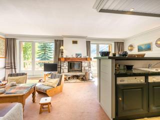 Appartement de standing avec cheminée et parking en haut des pistes - FR-1-694-247 - 3
