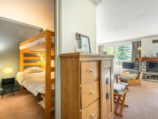 Appartement de standing avec cheminée et parking en haut des pistes - FR-1-694-247 - 2