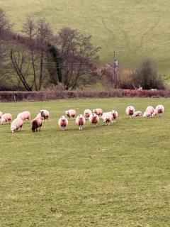 4 beautiful stone built barns sleeping 17 people - 7