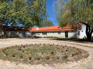Quinta da Torre - Torre - 2