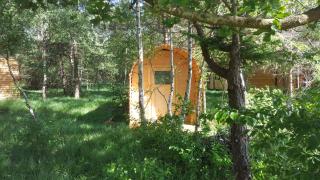 Glamping Pod im Wald mit Einzelbetten - 0