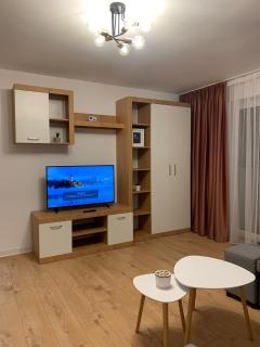 Sunny Apartment in Suceava - Suceava - 1
