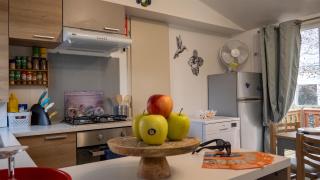 MOBILHOME Familial - Onzain - 0
