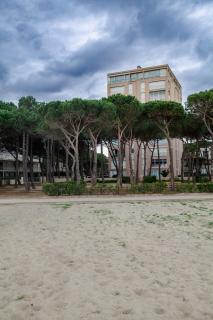 Studio les pieds dans l'eau Argeles Sur Mer - Argelès-sur-Mer - 6