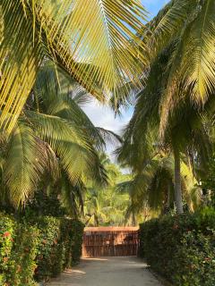 Beach Lover's Paradise - Petatlán - 9
