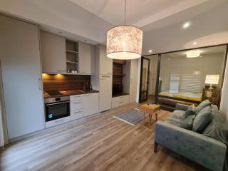 Apartmani Central 10 & free parking - 0