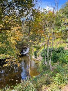 The Fallsview at Burdett Falls - Burdett - 9
