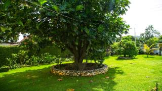House of Erabo - Runaway Bay - 4