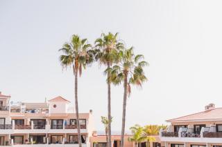 Precioso apartamento - San Miguel de Abona - 7