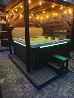 The West Wing at Eriviat Hall Hot Tub - Henllan - 9