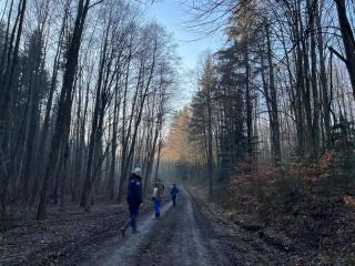 Pensiunea La Poarta Bucovinei - 2