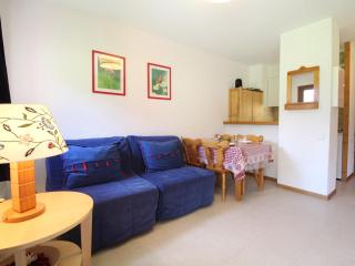 Appartement 4 pers au pied des pistes avec Wifi - FR-1-508-170 - 0