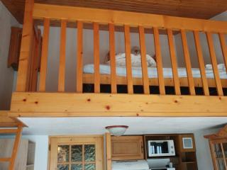 Appartement à Chamonix avec Balcon, Animaux Acceptés et Parking - FR-1-517-12 - 5