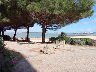 Studio cabine 4 pers vue mer, accès plage - FR-1-551-47 - La Rochelle - 6