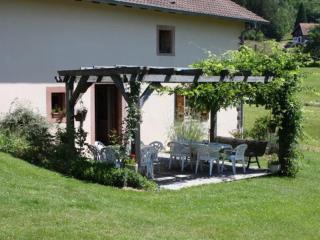 Grande Ferme Rénovée avec Jardin, Terrasse et Sentiers à Proximité - Vosges - FR-1-589-232 - Taintrux - 9