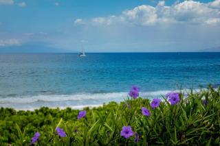 Polo Beach Club Two Bedrooms - Sleeps 6 by Coldwell Banker Island Vacations - Wailea - 0