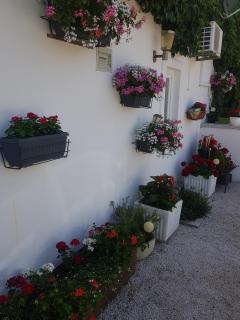 Apartments for families with children Sabunike, Zadar - 20828 - 6