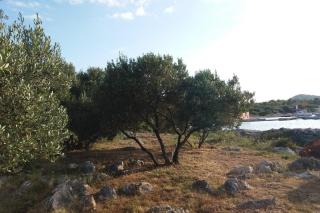 Secluded fisherman's cottage Cove Zizanj, Pasman - 21004 - 7