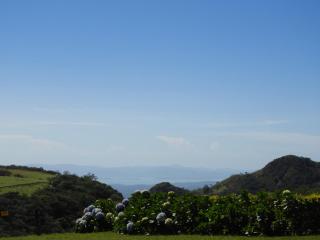 Campo Azul #3 - Monteverde - 0