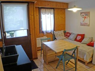 Studio Coquet avec Cabine en RDC, Résidence au Cœur du Village, Samoëns - FR-1-629-55 - Samoëns - 7