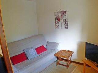 Studio Coquet avec Cabine en RDC, Résidence au Cœur du Village, Samoëns - FR-1-629-55 - Samoëns - 6