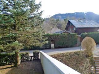 Coquet studio RDC avec terrasse, animaux admis, étang Samoëns - FR-1-629-55 - 8
