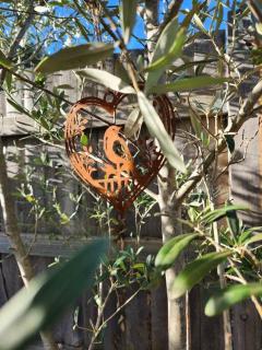Jayda - Daylesford - 3