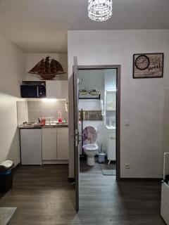 studio meublé au RDC , proche lac - Aix-les-Bains - 9
