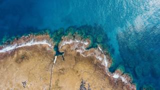 White Grass Ocean Resort & Spa - 8