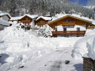 Apartments in Walchsee Kaiserwinkl 489 - Walchsee - 0