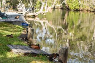 Charlottes Hideaway - Charlotte Bay - 8