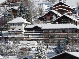Studio lumineux avec mezzanine, balcon, casier à skis et parking à 5 min du centre de Morzine. - FR-1-524-87 - Morzine - 2