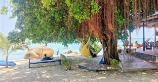 Ocean Vibes - Thong Sala - 3