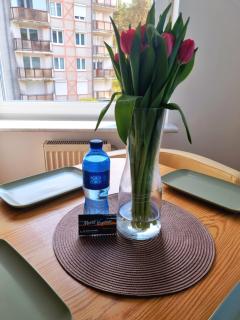 APARTAMENT CAMPINGOWA 50M od MORZA - Międzyzdroje - 6