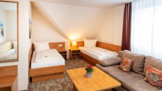 Maximilian Hotel & Apartments Weil am Rhein / Basel - 6