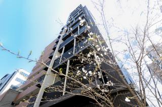 Ocean Shinsaibashi - 6