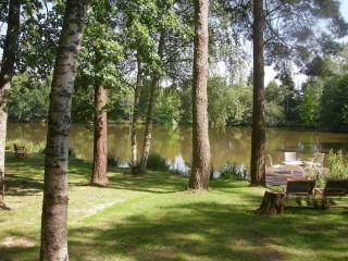 Paradis perdu en Sologne avec plage privée - Villeny - 5