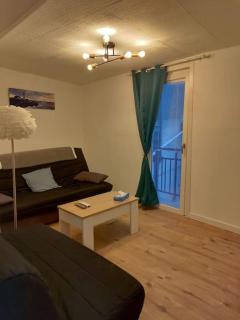 Triplex Pamiers Centre-Logement Entier - 4