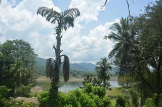 Oruthota Chalets - Kandy - 9