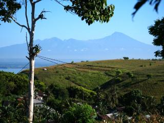 RUMAH THEA - 2