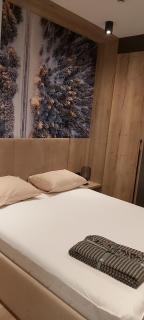 DVOSJED LUXE apartmani Jahorina - Jahorina - 3