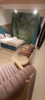 DVOSJED LUXE apartmani Jahorina - Jahorina - 5