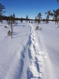 Log Cabin - Lord of Sormuset - Inari - 2