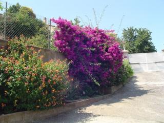 Studio Indépendant avec Terrasse - 5