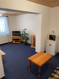 Penzion Linhart - Poděbrady - 7