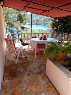 Seafront Apartment Dana - Vela Luka - 8