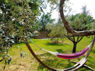 Villa spacieuse avec piscine à Saint-Michel-d'Euzet - 1