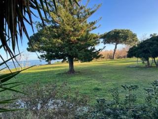 Studio pied dans l'eau - WIFI- Piscine - Santa-Lucia-di-Moriani - 2