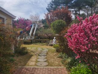 Olive Vanilla Pension - Gyeongju - 1